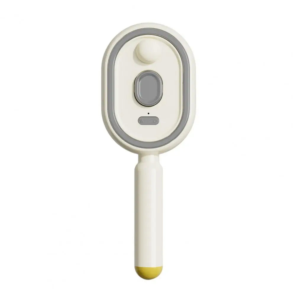 Steam Hair Brush – 2-in-1 Misting & Massage Comb