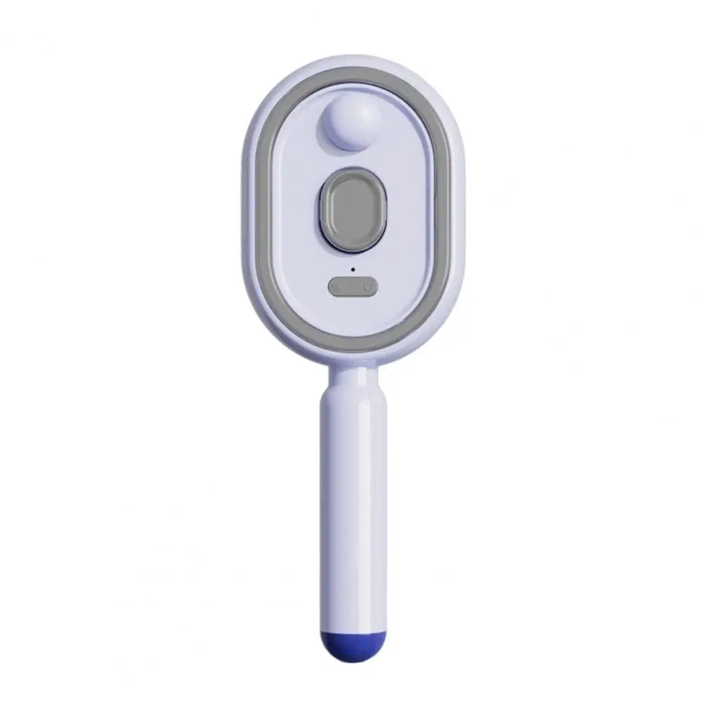 Steam Hair Brush – 2-in-1 Misting & Massage Comb